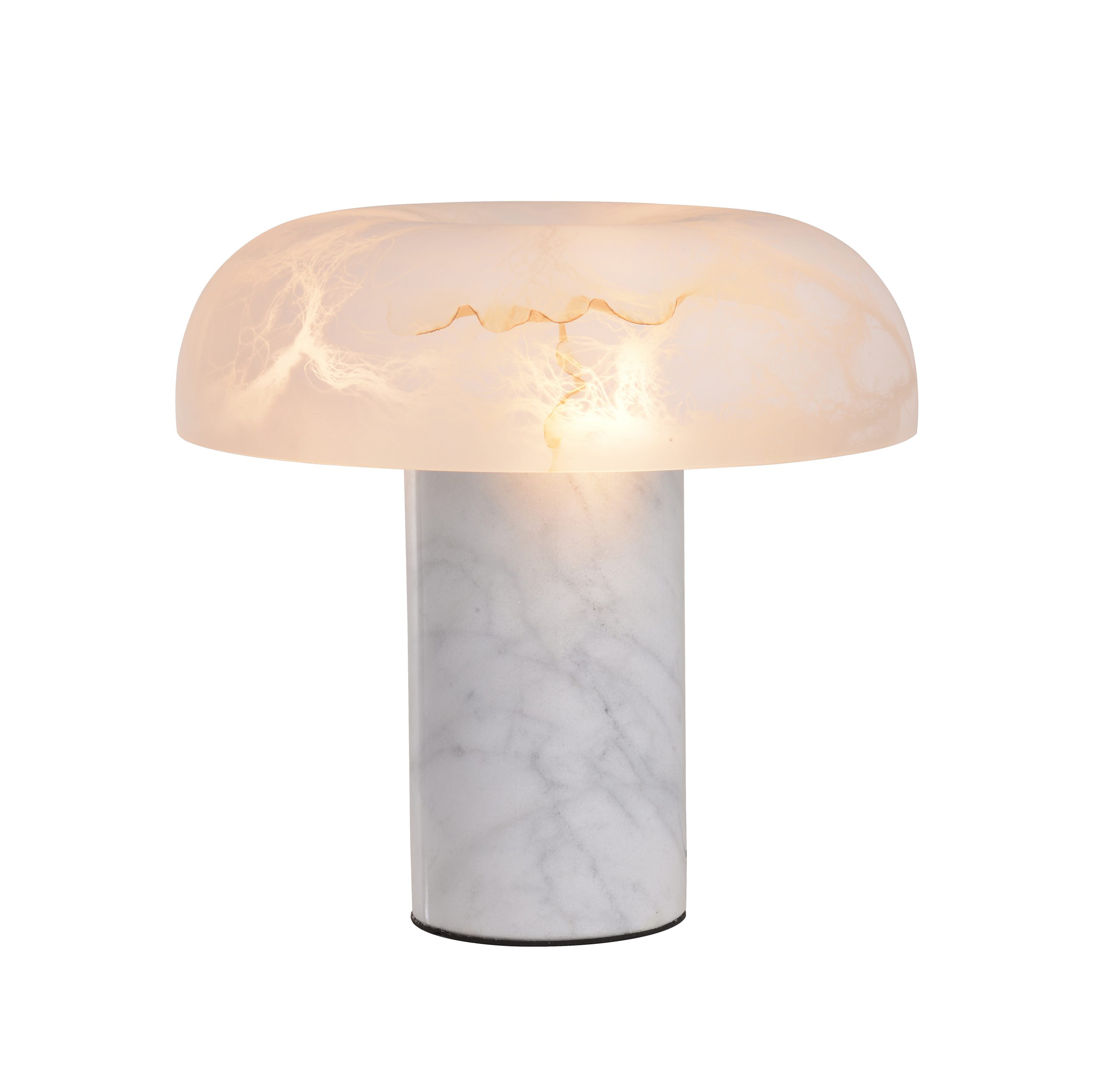 Fungus Alabastris mensa lampadis decorativus